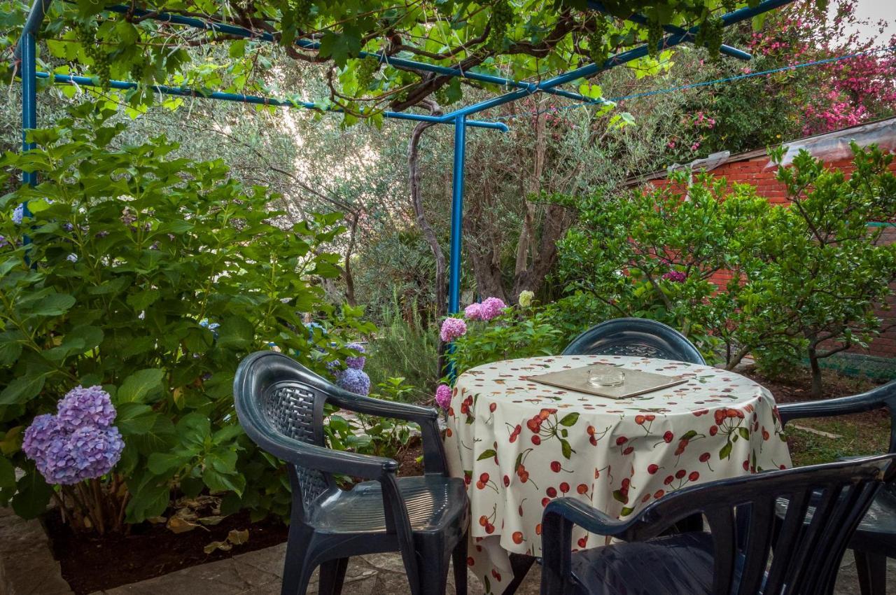 Apartments Villa Petranovic Budva Eksteriør bilde